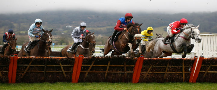 Cheltenham Festival | Ante-post day one and two | Preview and Odds