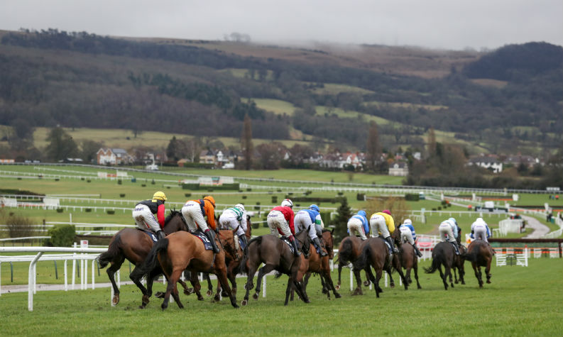 Horse Racing | Cheltenham November Meeting | Preview and Odds