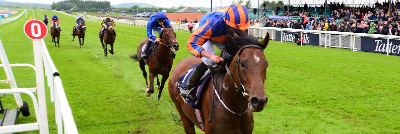 Horse Racing | Irish Guineas Weekend & Haydock | Preview and Odds