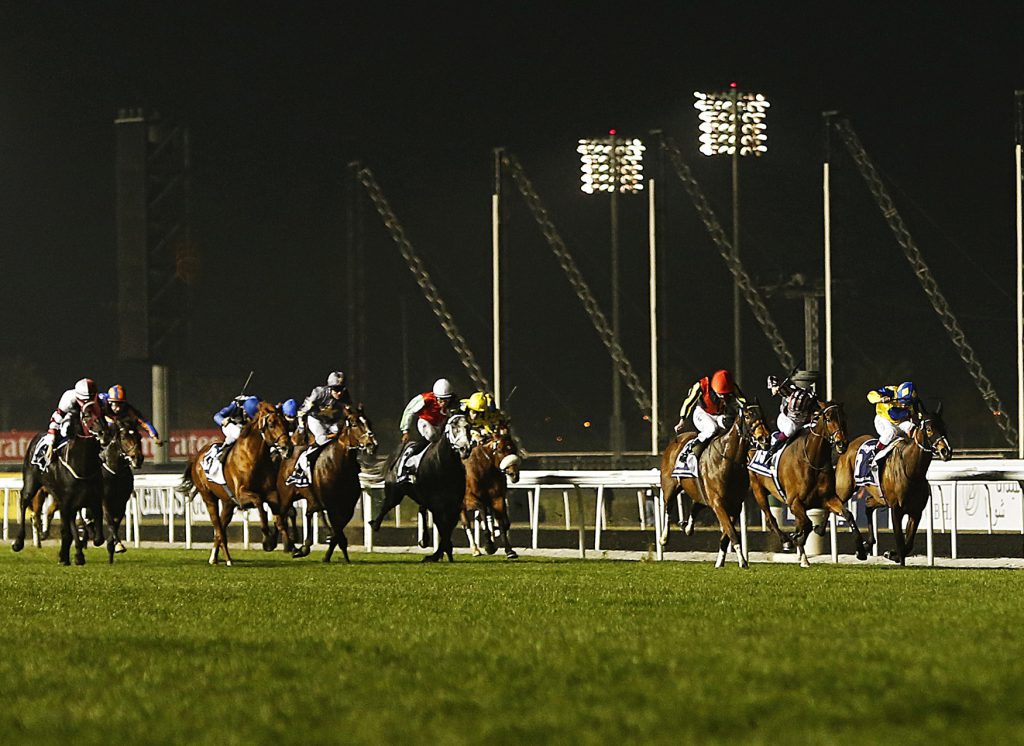 Horse Racing Dubai World Cup Preview and Odds Grosvenor Blog