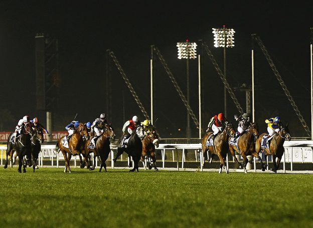 Horse Racing | Dubai World Cup | Preview and Odds