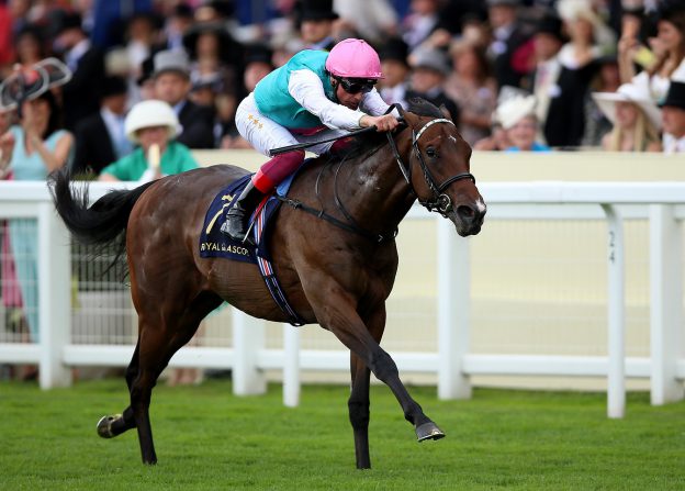 Best racing horses in the UK & Ireland - Grosvenor Blog