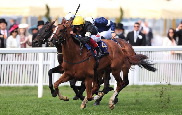 Horse Racing | British Champions Day | Preview and Odds
