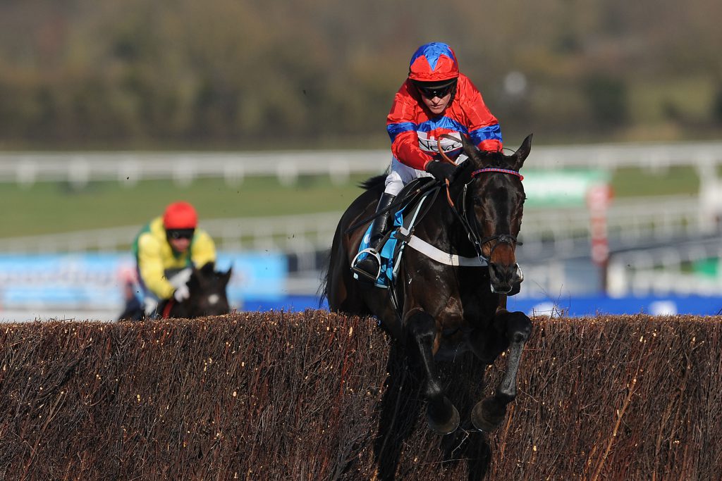 Sprinter Sacre ridden by Barry Geraghty on his way to winning the 2013 Champion Chase