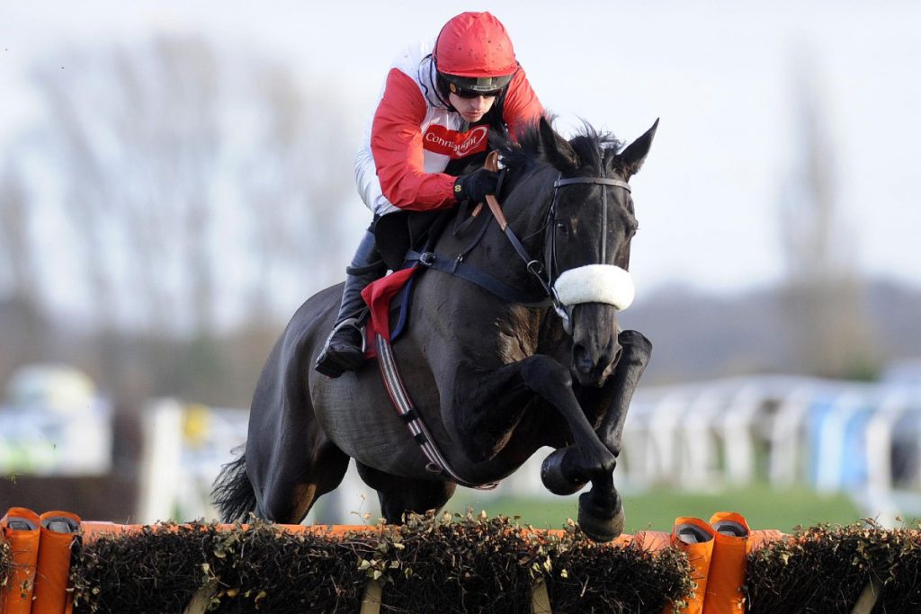 Big Buck's in action on the way to one of many Cheltenham Festival wins